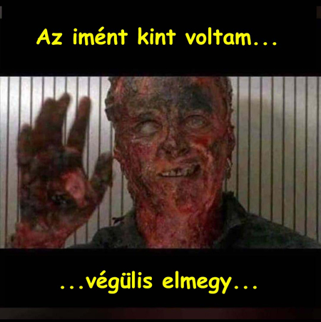 beillesztett kép