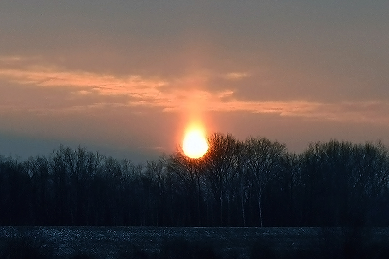 beillesztett kép